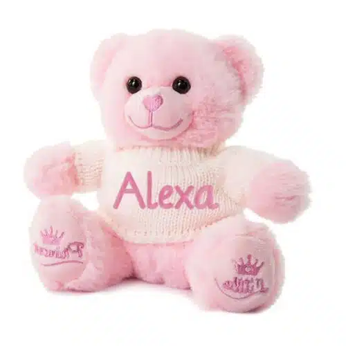 Personalised Baby Teddy Bear Soft Fleece Novelty Gift – Pink Teddy