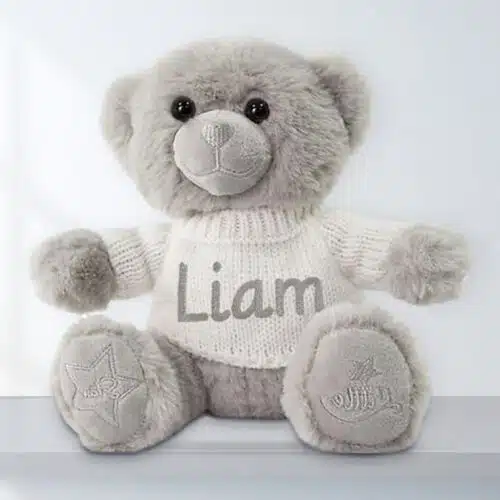 Personalised Teddy Bear – Grey